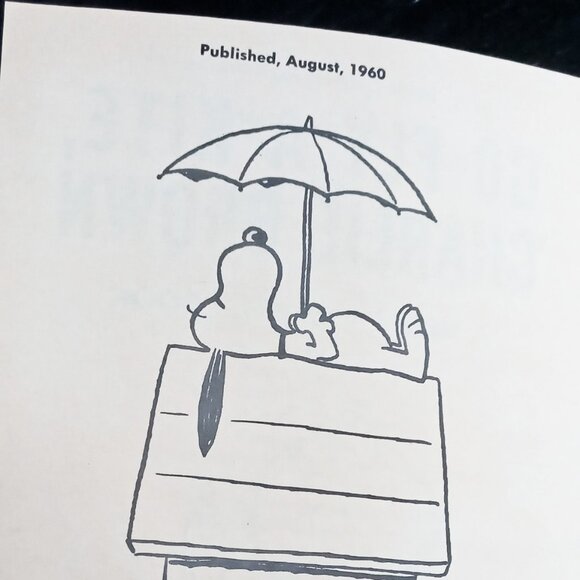 Nice Vintage Hardcover Edition of the Peanuts Book Go Fly a Kite, Charlie Brown - Picture 6 of 16